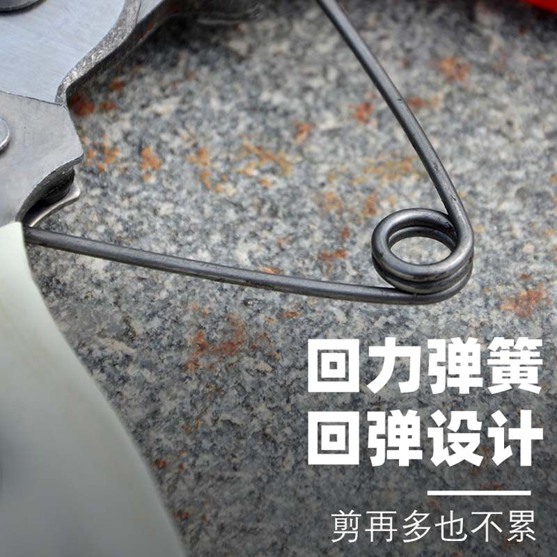 高硬度修枝剪果树剪刀园艺省力粗枝剪修树枝园林工具花艺省力剪子,淘宝优惠券,粉丝福利购,淘宝优惠卷