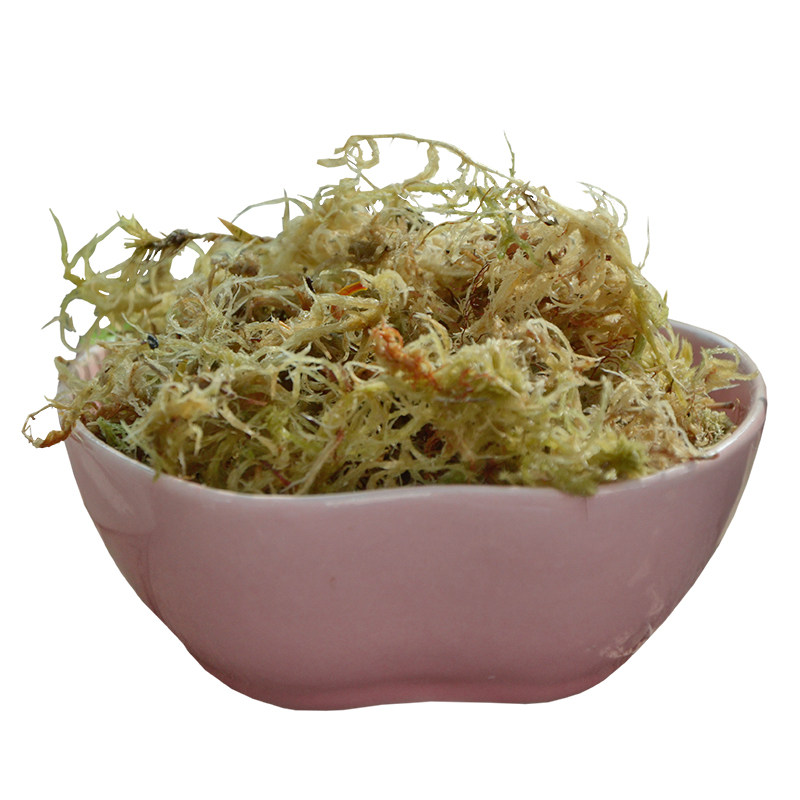 天热干苔青苔藓无杂质蝴蝶兰专用营养土石斛兰花栽培基质造景垫材,淘宝优惠券,粉丝福利购,淘宝优惠卷