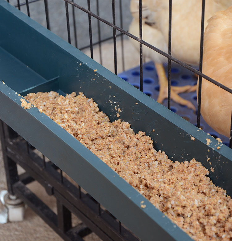 饮水食盆鸡食槽长方形防撒喂水饲料喂食器鸡鸭鸽子食槽家禽养殖槽-图2