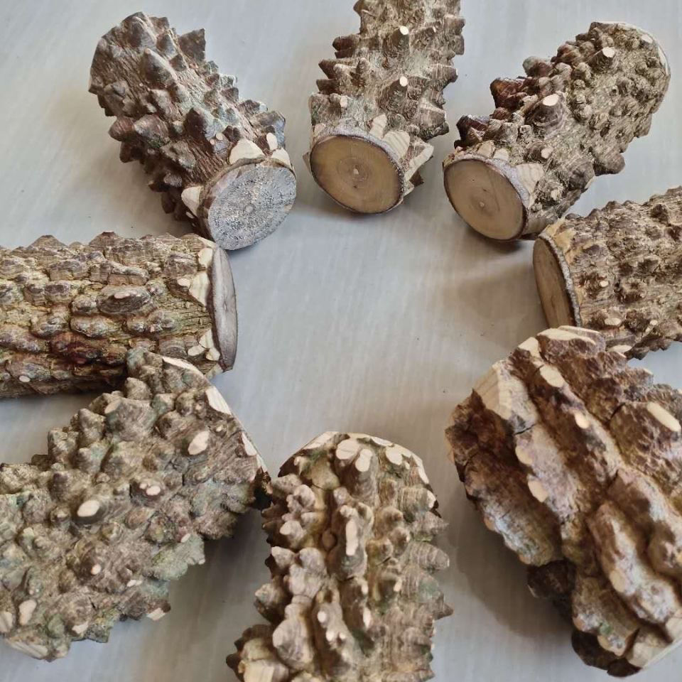 花椒木手棍按摩椒原木棍中年老人按摩敲背把件按摩花椒棒杠练功棍 - 图1