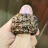 Indonesian Agarwood Lucky Pixiu Finger Ring Kowloon Opera Pearl Men's Ring Palace Retro Toy Handpiece
