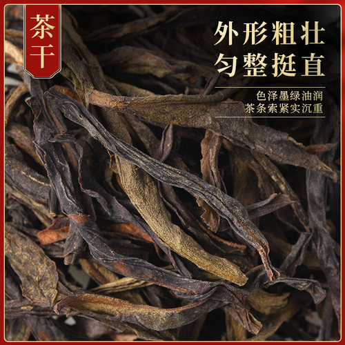 鸭屎香凤凰单枞茶特级春茶大乌叶潮州高山浓香型新茶凤凰单丛500g - 图2