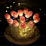 День учителя Лунный ночной фонарь