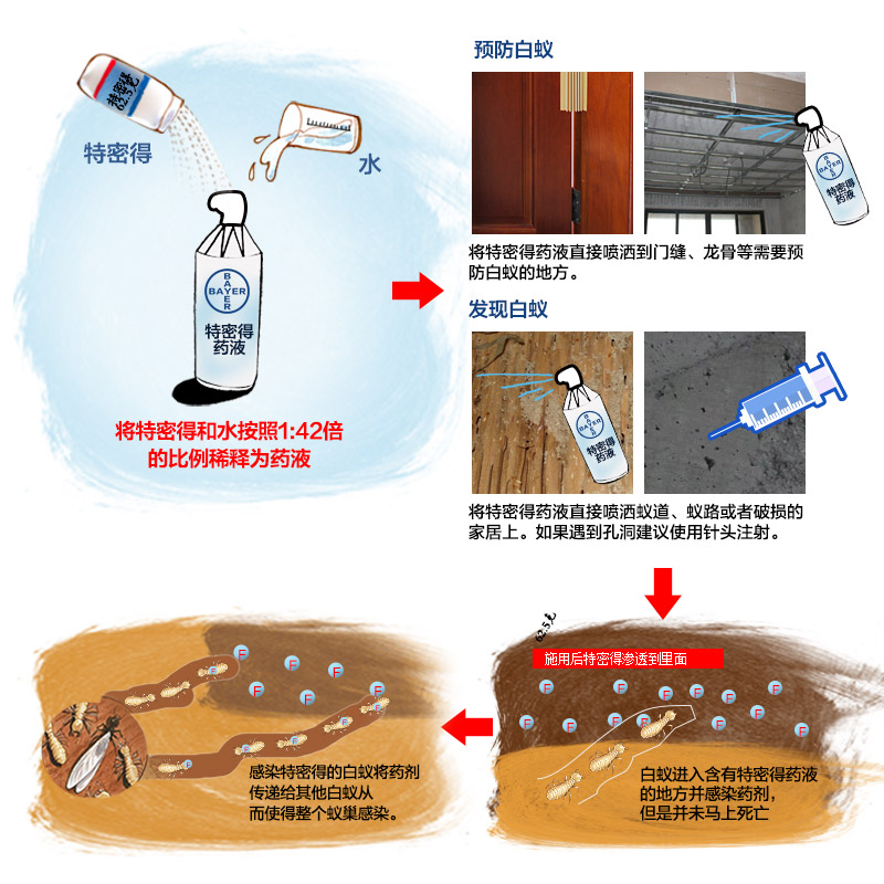 拜耳白蚁防治专用药全窝端家用室内除灭杀白蚁药粉杀虫剂喷剂 - 图0