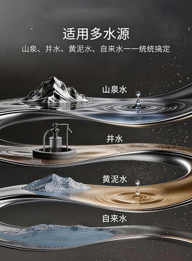 DAYIN大音全屋家用大流量过滤器井水净水器农村自来水前置水塔用