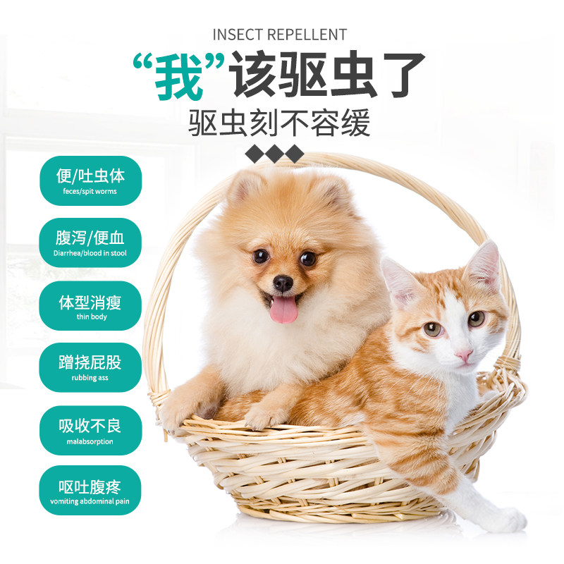 新宠之康阿苯达唑片犬猫咪狗狗通用体内驱虫蛔虫抗蠕虫线绦虫药,淘宝优惠券,粉丝福利购,淘宝优惠卷