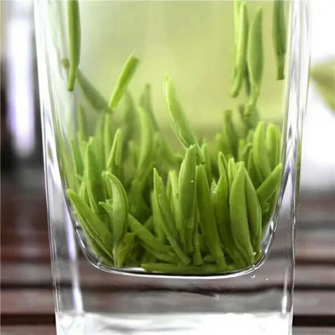 2024新茶湄潭翠芽明前特级雀舌绿茶米芽贵州茶栗香散装250g礼盒装 - 图0