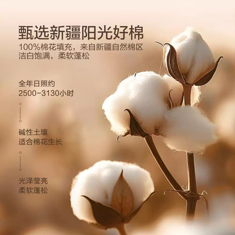 新疆棉花床垫软垫床褥垫子全棉家用卧室褥子铺底榻榻米棉絮加厚,淘宝优惠券,粉丝福利购,淘宝优惠卷