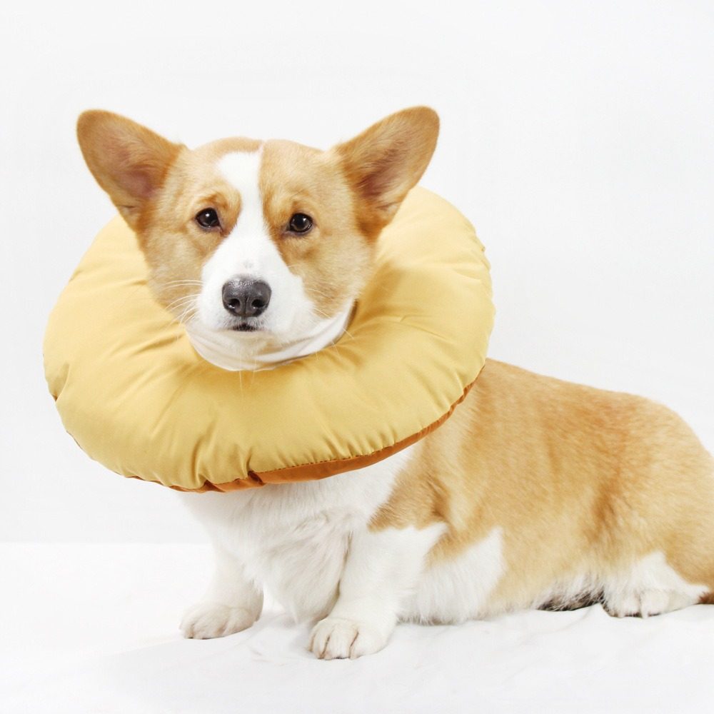 猫咪狗狗伊丽莎白项圈术后防舔宠物软头套大型犬绝育耻辱圈,淘宝优惠券,粉丝福利购,淘宝优惠卷