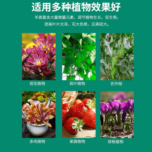 纯羊粪发酵腐熟肥料颗粒蛋子缓释肥石斛月季花卉蔬菜专用肥100升 - 图2
