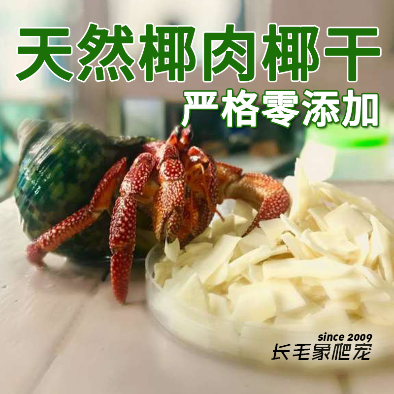 寄居蟹粮推荐品牌 新人首单立减十元 21年6月 淘宝海外 寄居蟹粮推荐品牌 新人首单立减十元 21年6月 淘宝海外