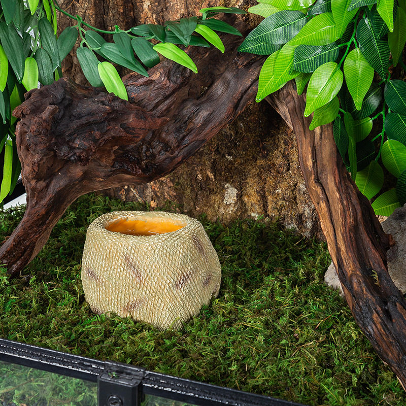 宠物蛇寄居蟹泡澡盆玩具蛇黑白王小蛇泡澡陶瓷水碗蜥蜴水盆树脂,淘宝优惠券,粉丝福利购,淘宝优惠卷