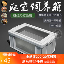 CM Climbing Spotting Box Reptile Box Land Tortoise Rearing Box Lizard Snake Python Hedgehog Hamster Acrylic Plastic Big and Surface Box