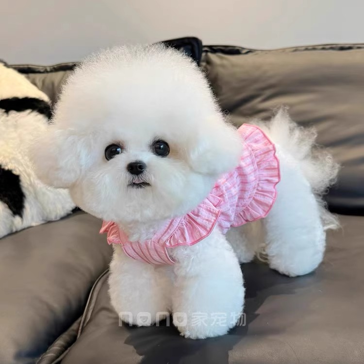 小狗狗衣服夏季薄款条纹大蝴蝶结飞袖吊带裙宠物比熊泰迪猫咪衣服 - 图2