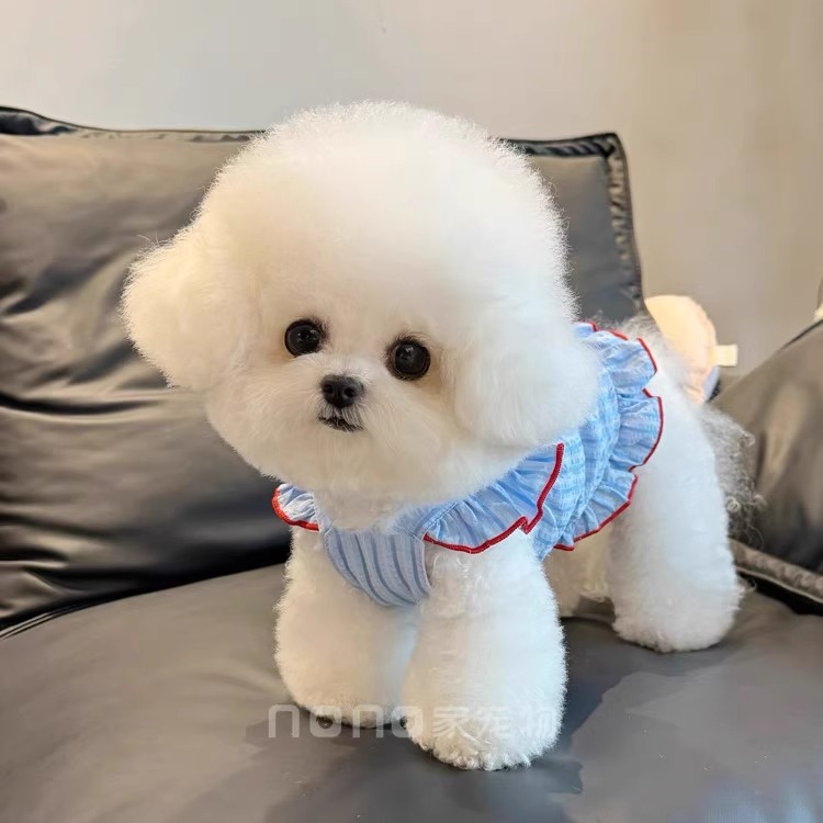 小狗狗衣服夏季薄款条纹大蝴蝶结飞袖吊带裙宠物比熊泰迪猫咪衣服 - 图1