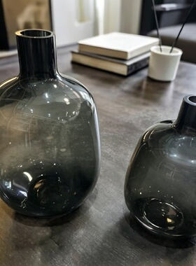 现代大肚玻璃花瓶特大号马醉木网红水培摆件吊钟竹子客厅插花落地