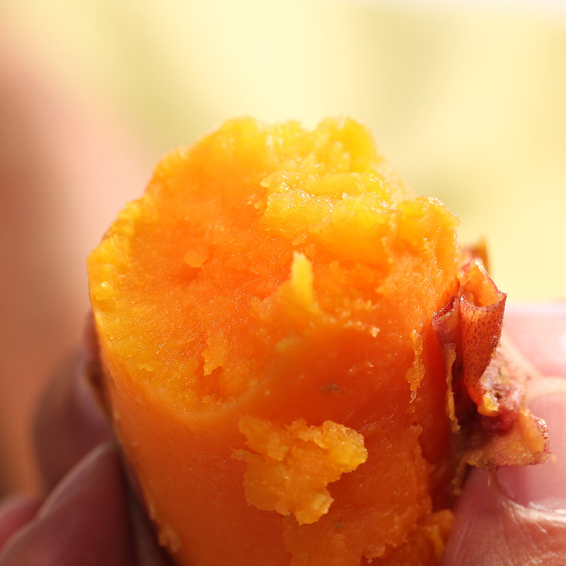 新鲜蜜薯糖心西瓜红沙农家板栗红薯 榆园食品番薯