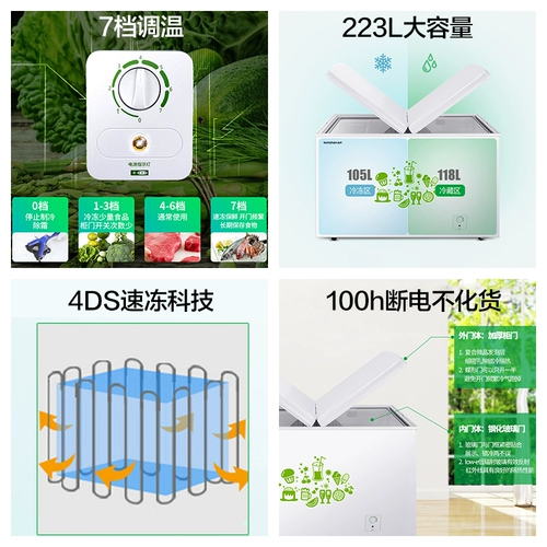 Rongsheng 223 литра морозильного холодного шкафа Домохозяйство.
