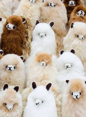 白色|alpaca秘鲁幼年小羊驼玩偶