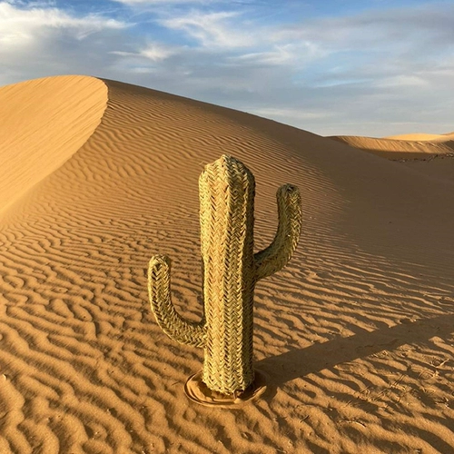 Соломенная плетеная импортная мебель, DIY, кактус