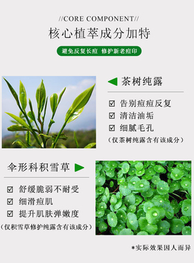 茶树积雪草纯露修护痘肌平衡水油