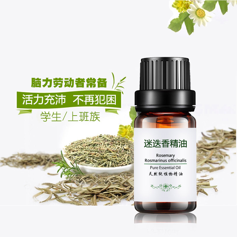 迷迭香精油 單方精油廠家香薰正品香薰天然護膚面部護發緊致 10ml 迷迭香精油 單方精油廠家香薰正品香薰天然護膚面部護發緊致 10ml