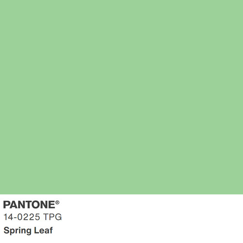 2024新版色彩 13-1307TPG 至 14-3512TPG 大型TPG纸版色卡 TPG单张色卡Pantone潘通服装家居色卡 - 图2