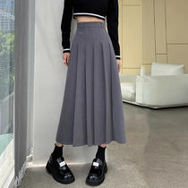 Grey 100 Pleat Half Body Dress Woman Mid Spring Fall 2023 New Conspicu Slim High Waist Umbrella Skirt Suit A