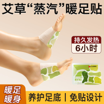 Agrass Moxibustion Paste Old Plantar Foot patch for sleep men and women General steam Self-heating essential oils Self-heating Warm Feet God