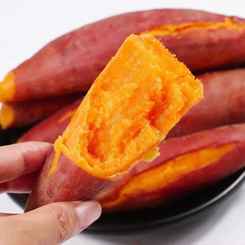 【5斤】沙地西瓜红甜薯烤蜜薯新鲜地瓜现挖红心糖心番薯软糯香甜,淘宝优惠券,粉丝福利购,淘宝优惠卷