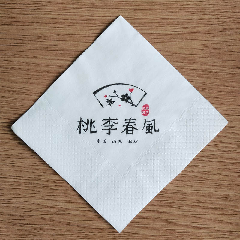 纸巾定制方巾纸餐厅定做双色餐巾纸230双层商用酒店2色印字印logo - 图2