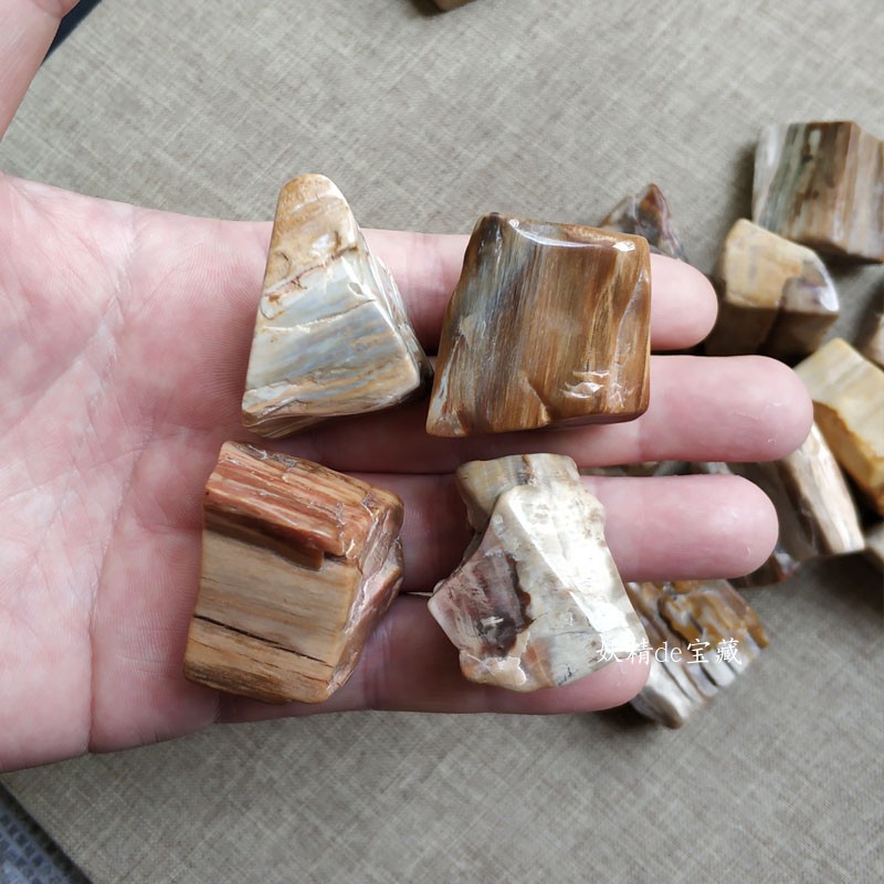 天然大块木化石原石树化玉矿石标本水晶碎石摆件鱼缸花盆造景石头 - 图1