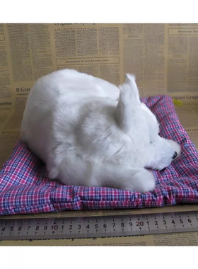 仿真萨摩耶家居摆件创意礼物