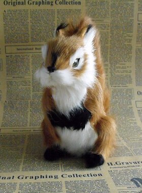 小松鼠玩偶仿真动物模型送女友