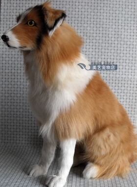 中号边牧摆件皮毛工艺品