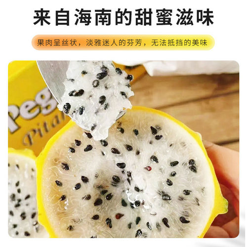 《送礼精品》海南燕窝果5斤大果礼盒装新鲜白心火龙果顺丰包邮 - 图0