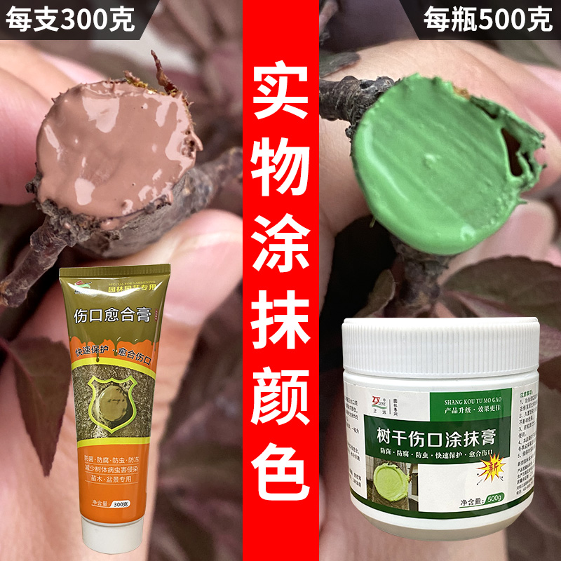 月季盆景植物修剪伤口嫁接伤口防黑杆愈合剂愈合膏通用防腐烂杀菌 - 图1