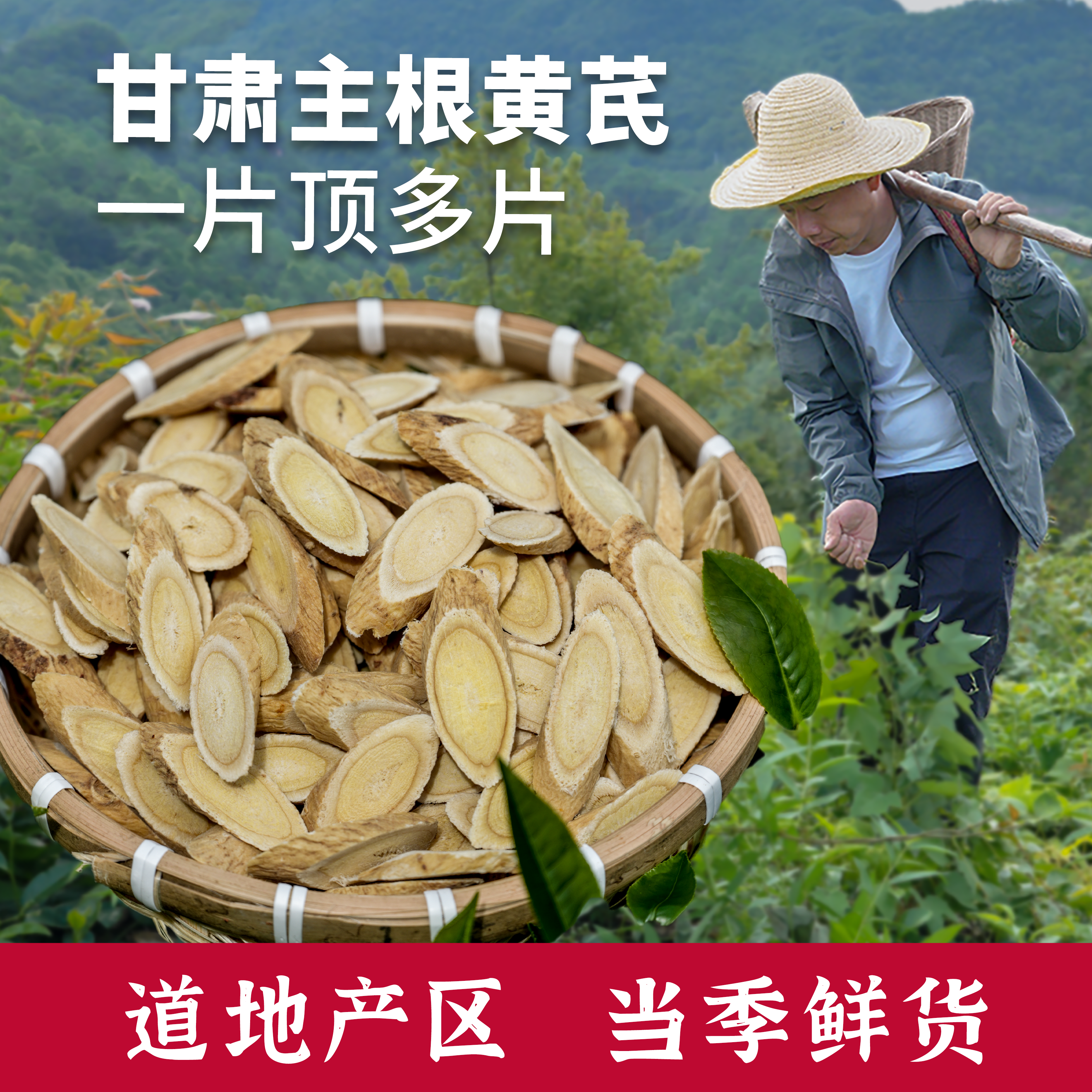 杨直二深山黄芪正品中药材甘肃野生无硫黄芪片党参泡水补气养血 - 图0