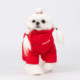 HCHOUCHOU dog clothes down jacket autumn and winter