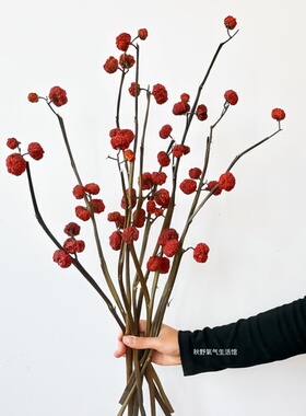 小南瓜干花天然真花花束客厅家居插花摆件红色干果秋日氛围感花材