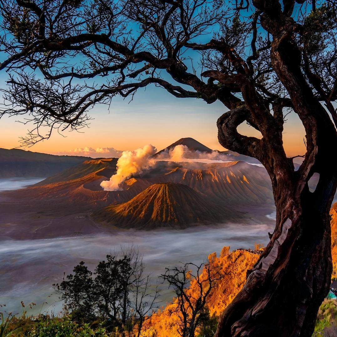 【一人起订·赠送航拍】巴厘岛+布罗莫+罗威纳+佩妮达跟团游6日游,淘宝优惠券,粉丝福利购,淘宝优惠卷