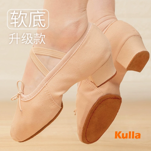 Танцевальные туфли для взрослых женская тренировочная обувь для обуви этнических танцев с танцами на каблуках женская средняя каблука