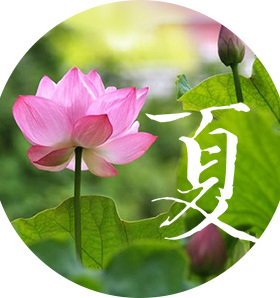 五毛君专用专拍运费