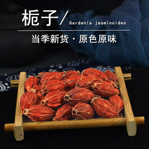 栀子中药材静萱正品黄栀子茶山栀子果干枝子非野生支子粉香料上色 - 图2