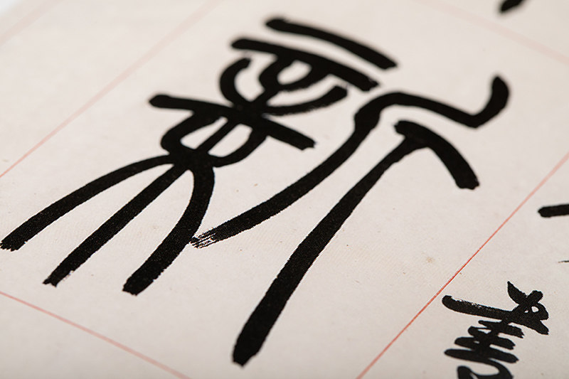 赵叔孺篆书选精装版 敦堂书画金石文字丛刊十四 收录近150幅对联扇面竖幅题画题跋等篆书作品集 大篆书法临摹字帖 西泠印社出版社
