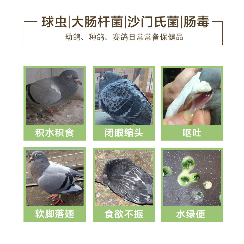 汉诺威啤酒酵母粉鸽用活菌王益生菌调理肠道保健营养鸽子用品,淘宝优惠券,粉丝福利购,淘宝优惠卷