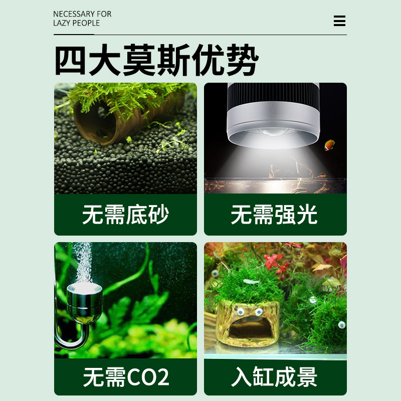 鱼缸水草造景莫斯水草懒人真植物鱼虾躲避罐虾屋小摆件小鱼躲避屋-图0