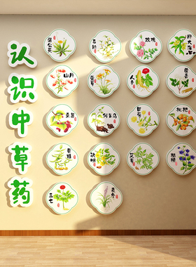 中草药医馆标本展示氛围布置幼儿园自然角墙面装饰文化素材环创贴
