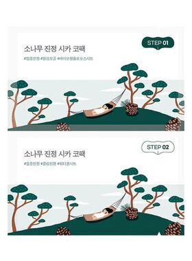 韩国直邮 ROUNDLAB独岛 柔恩莱 松树积雪草鼻贴温和敏感肌清洁5组