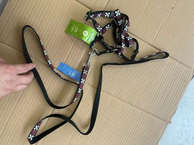 宠物狗狗牵引绳中小型幼犬泰迪狗绳狗链子可调节背心式胸背带遛狗,淘宝优惠券,粉丝福利购,淘宝优惠卷